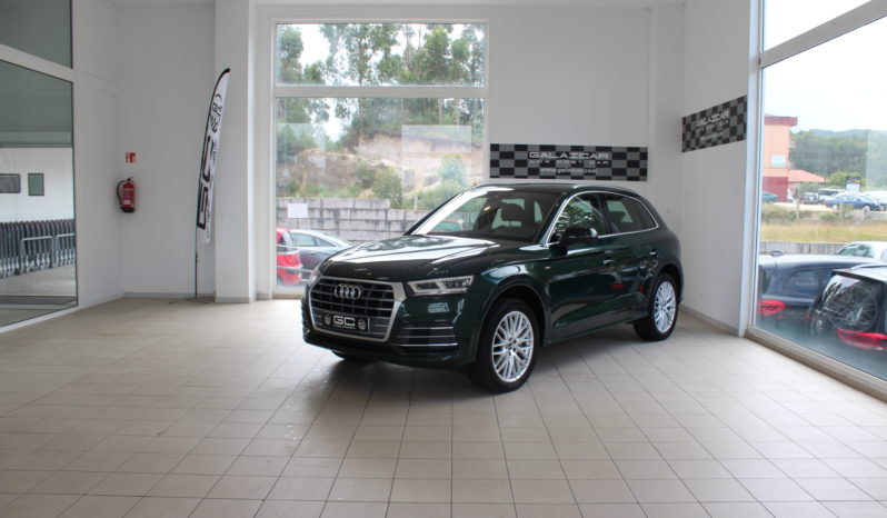 AUDI Q5 S line 2.0 TDI 190 CV quattro S tronic lleno