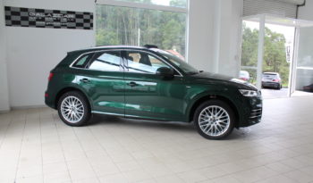 AUDI Q5 S line 2.0 TDI 190 CV quattro S tronic lleno