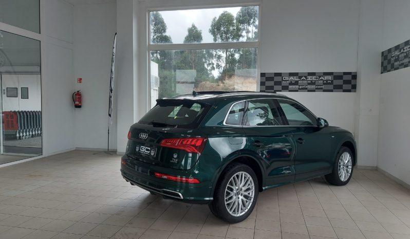 AUDI Q5 S line 2.0 TDI 190 CV quattro S tronic lleno