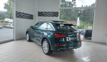 AUDI Q5 S line 2.0 TDI 190 CV quattro S tronic lleno