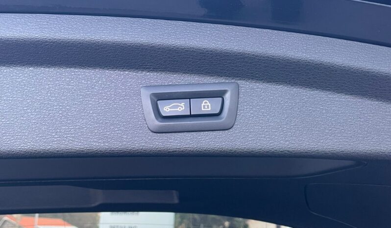 BMW X2 Xdrive 20dA lleno