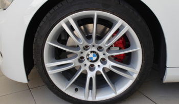 BMW Serie 3 320D lleno