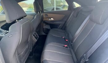 DS7 Crossback BlueHDI Auto SO CHIC lleno